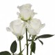 Троянда Tibet rose від 25од.